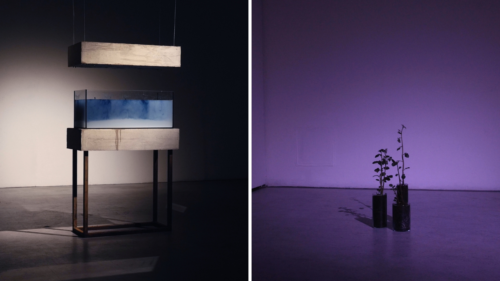 A collage of two images of The Iodine Time Machine by Hanna Paniutsich. The installation consists of an aquarium filled with a water-starch solution. Images show the aquarium at different distances.